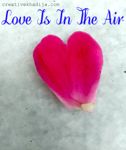 valentines's day flowers photography