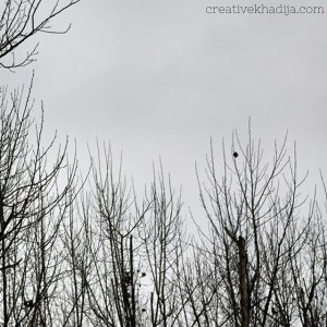 Instagram favorite photography clicks of Creative Khadija
