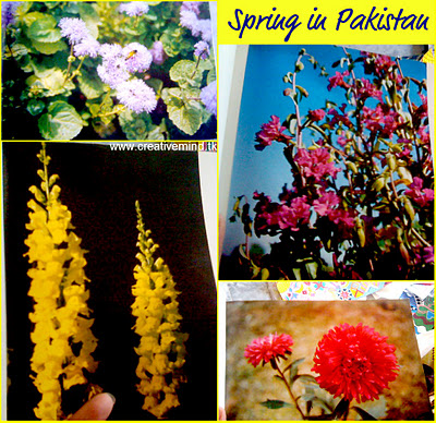 Spring In Pakistan