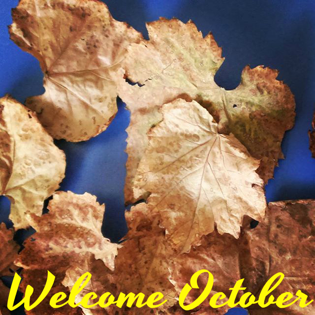 welcome-october-fall-2015