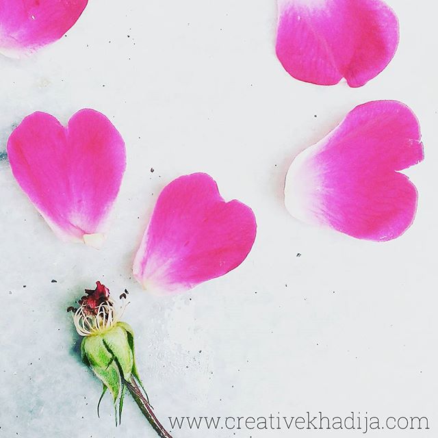 valentines day ideas photography
