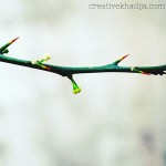 instagram-photography-creative-khadija-clicks