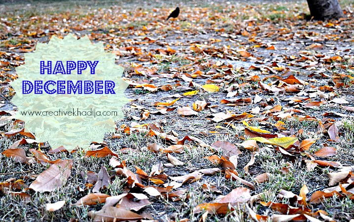 happy december and fall photography