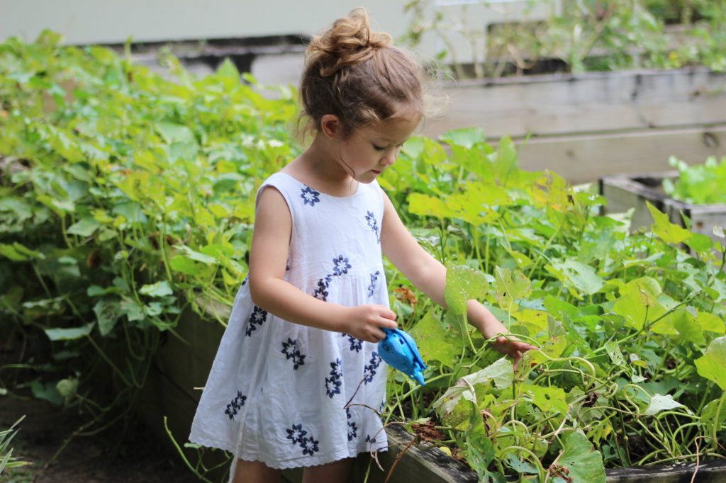 3 Fun Activities for Kids with Gardening Essentials