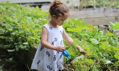 Giggles in the Garden: 3 Fun Activities for Kids with Gardening Essentials