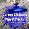 how to clean carpet on budget with carpet cleaning tips and tricks