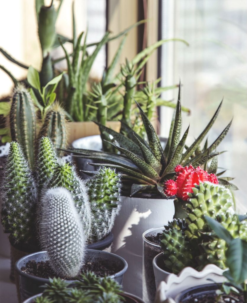 21 handmade things to make and sell online from home planters