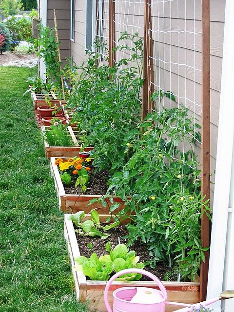 home renovation ideas have a kitchen garden