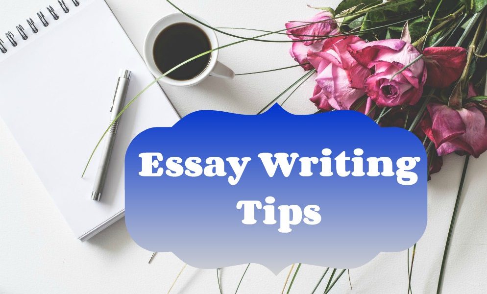 essay-writing-tips-and-ideas