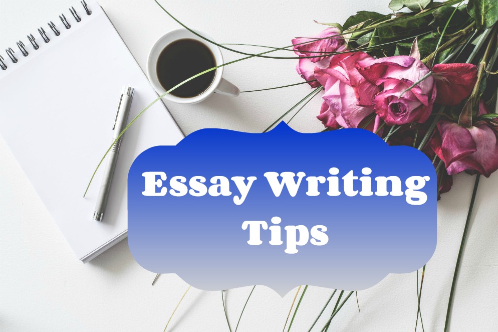 essay writing tips