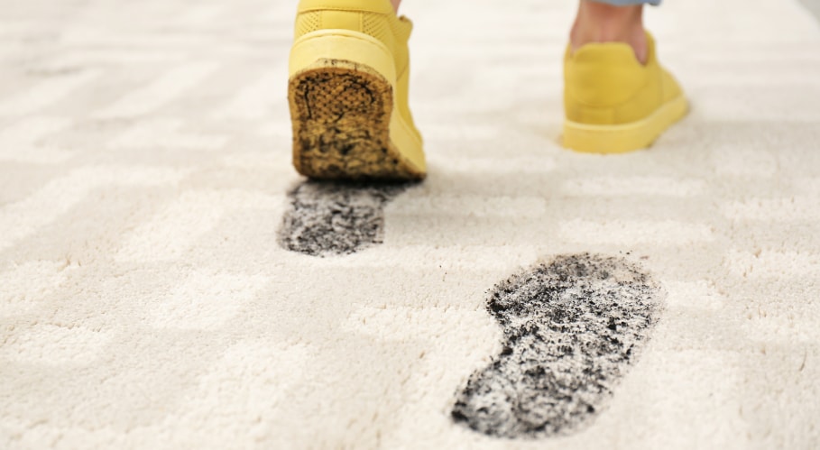 homemade carpet cleaner for mud stains