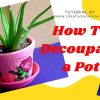 Easy Pot Painting Idea and Decoupage Video Tutorial