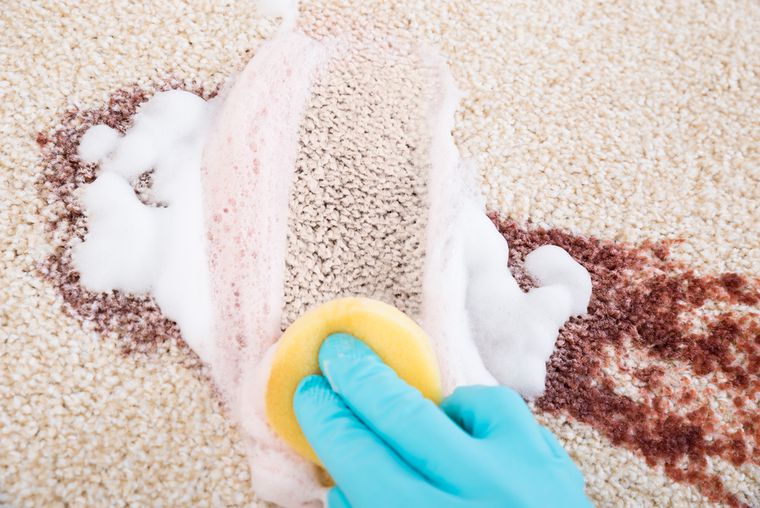 DIY carpet cleaner for blood stains
