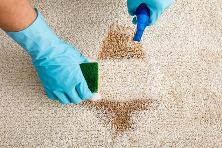 Best Homemade Carpet Cleaner To Refresh Your Home