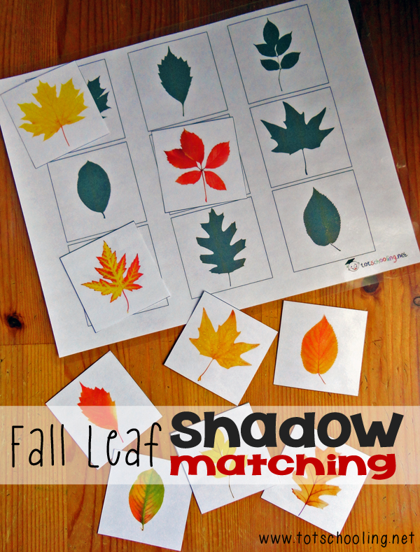 fall leaf shadow matching