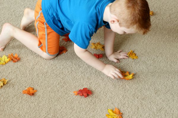 fall leaves alphabet activity