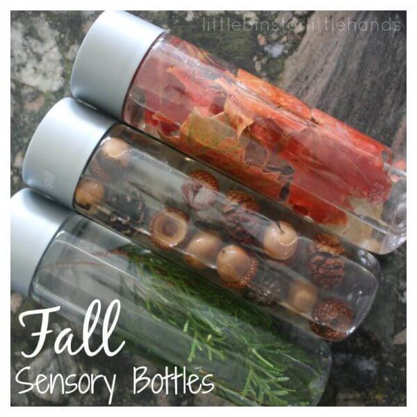 sensory fall activities to keep the toddlers busy sensory bottles