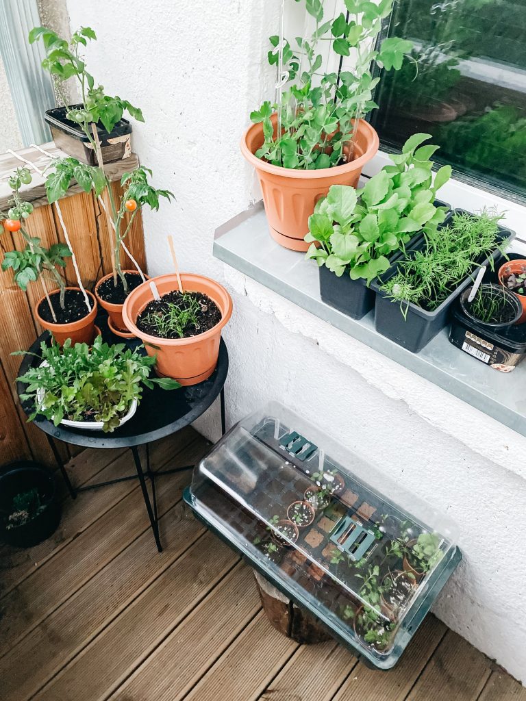 creative indoor activities for grownups garden 