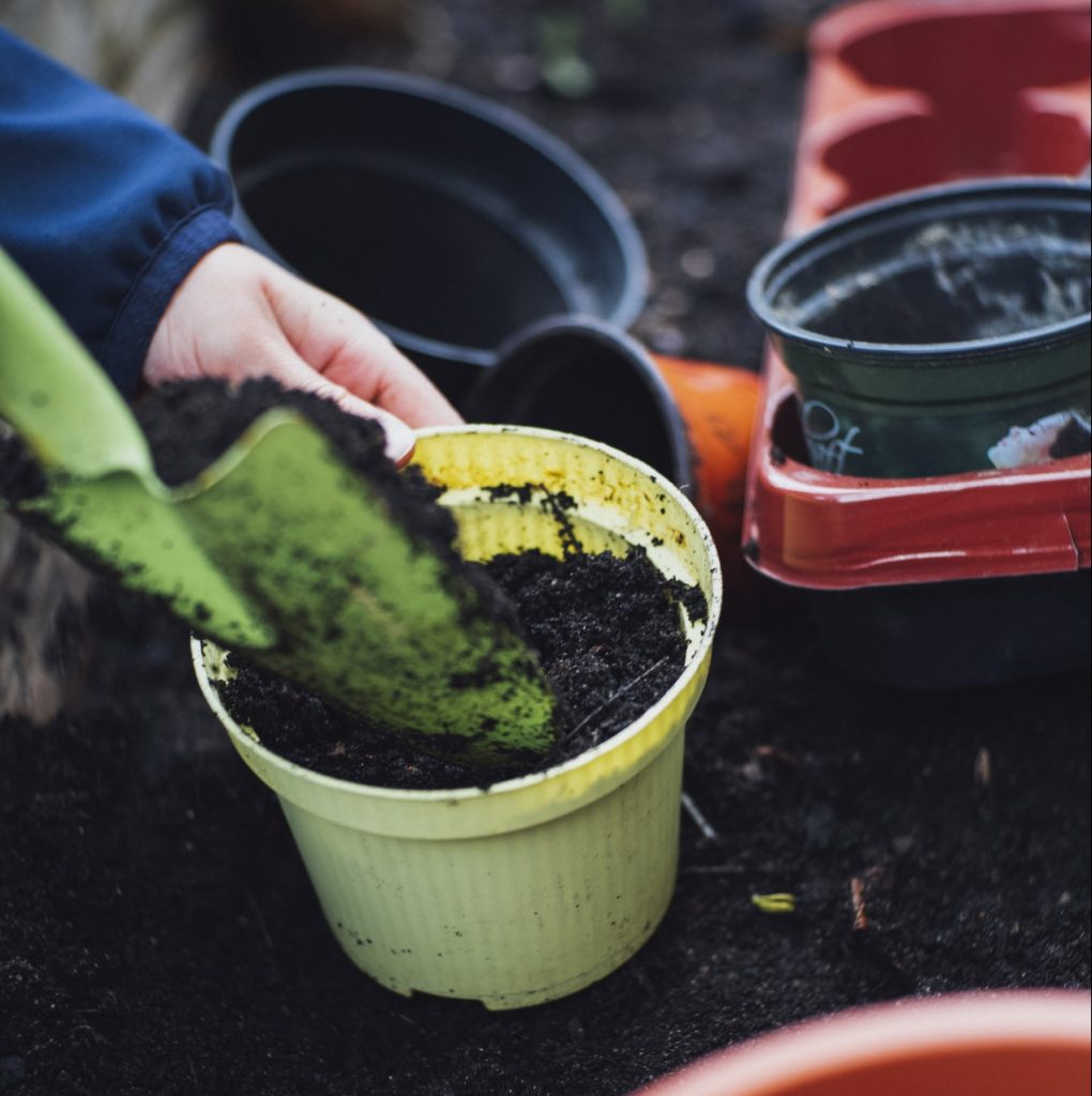 tips for gardening having the best soil conditions