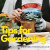 Front-Garden-Ideas-Tips-For-Gardening