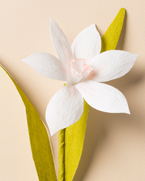 how to craft flowers with cardboard narcissus